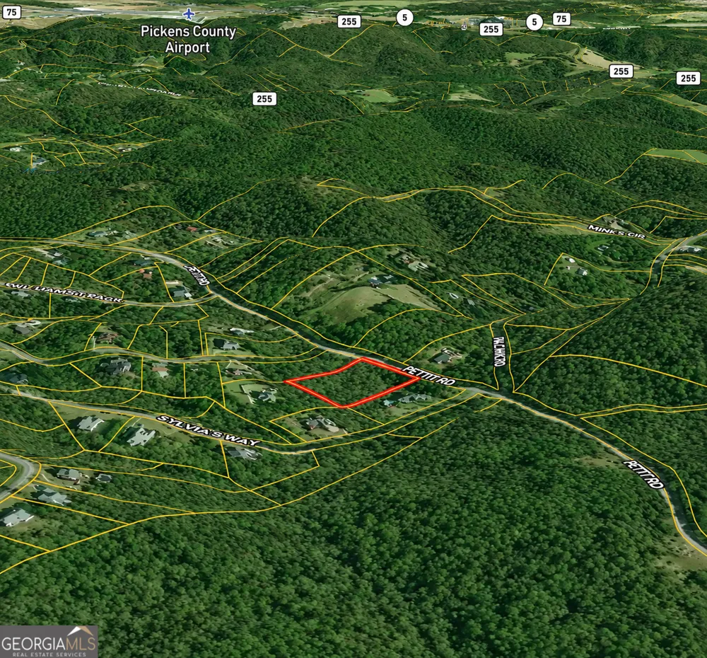 2 ACRES Pettit RD Jasper, GA 30143