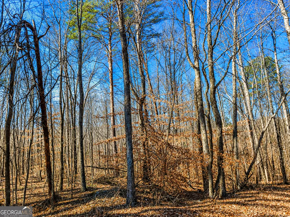 2 ACRES Pettit RD Jasper, GA 30143