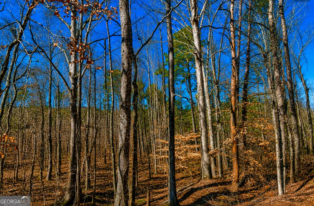 2 ACRES Pettit RD Jasper, GA 30143