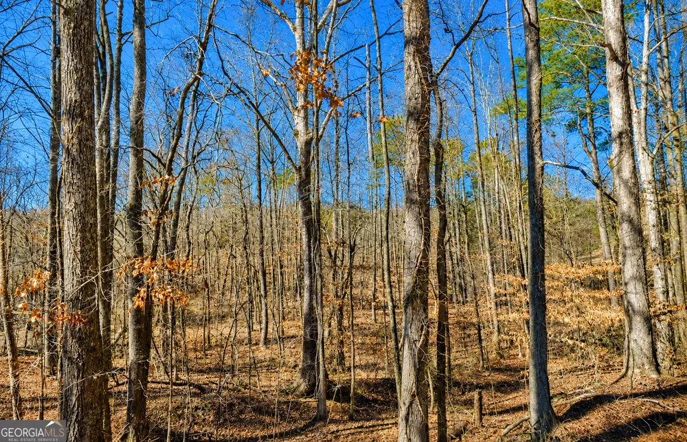 2 ACRES Pettit RD Jasper, GA 30143