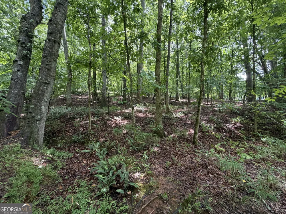 2 ACRES Pettit RD Jasper, GA 30143