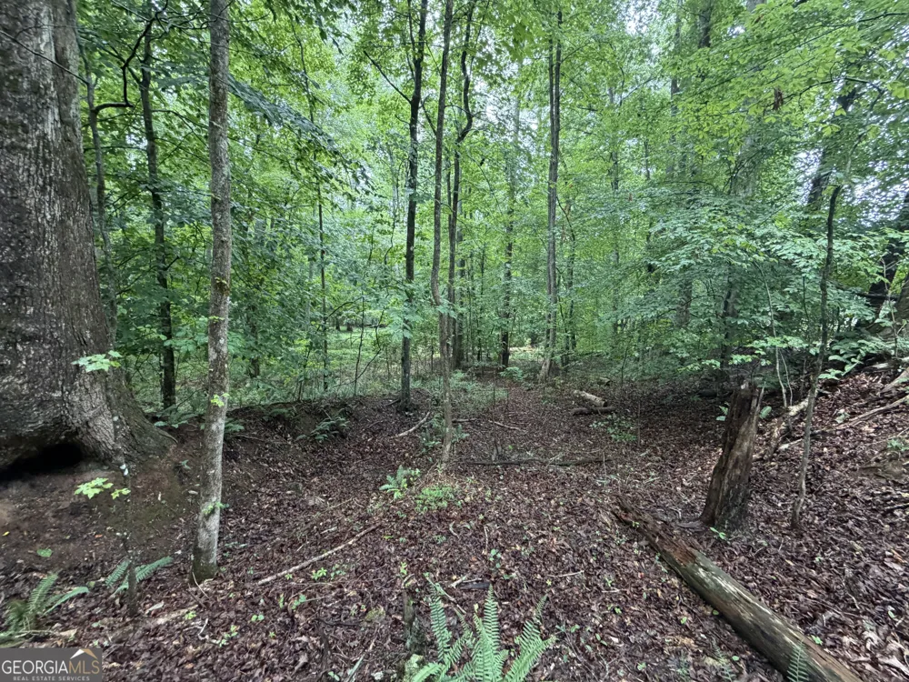 2 ACRES Pettit RD Jasper, GA 30143