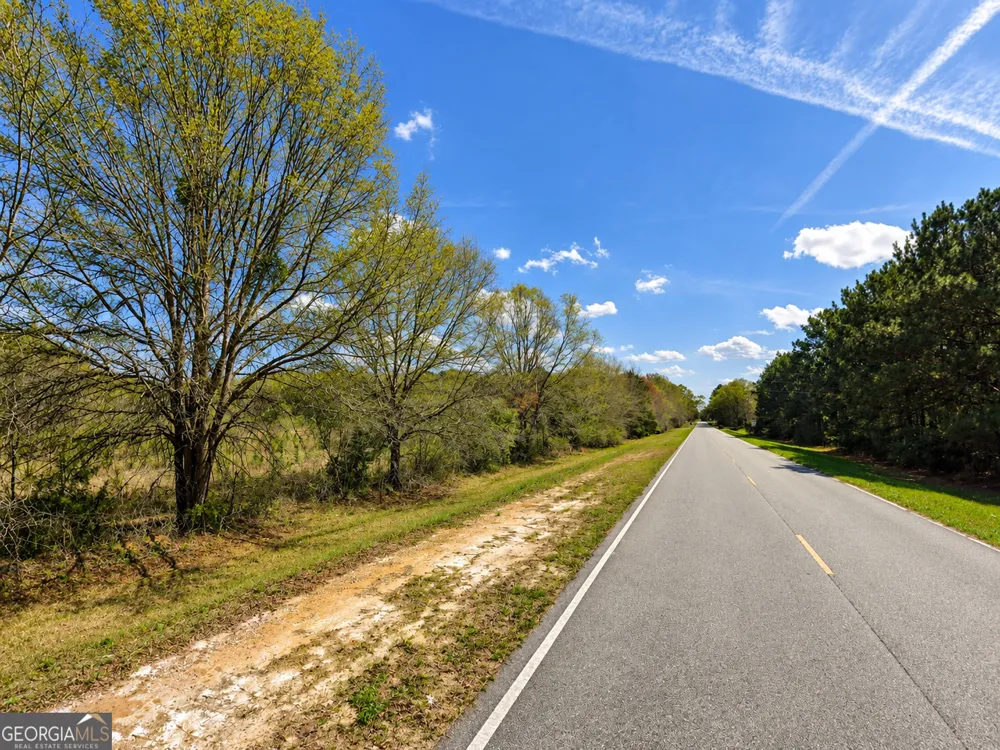 25.69 ACRES Gaissert RD Albany, GA 31705