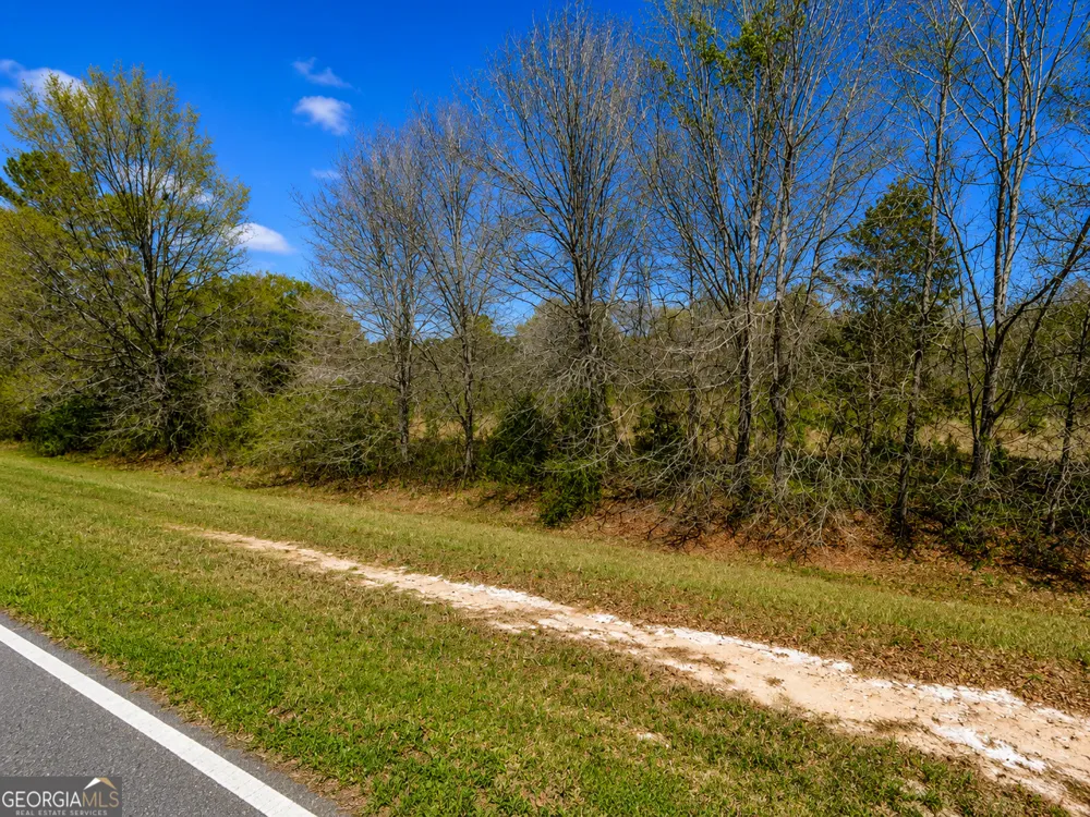 25.69 ACRES Gaissert RD Albany, GA 31705