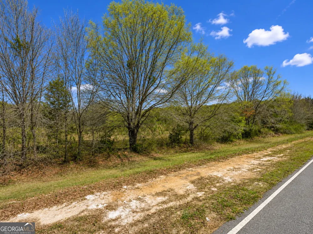 25.69 ACRES Gaissert RD Albany, GA 31705