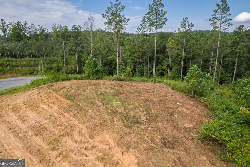 LOT 148 Eddy Waters CIR Talking Rock, GA 30175