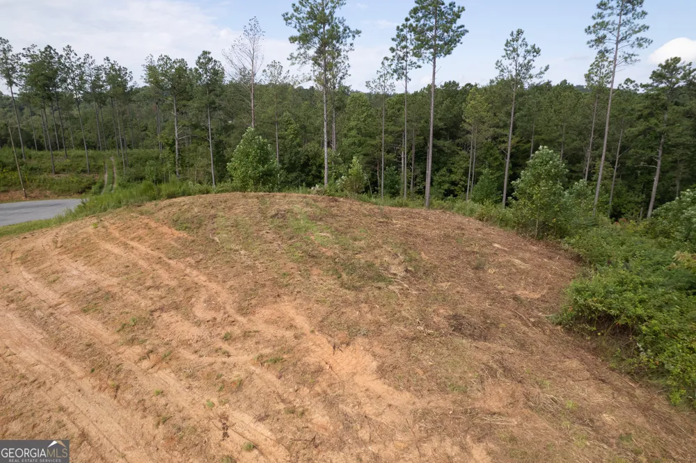 LOT 148 Eddy Waters CIR Talking Rock, GA 30175