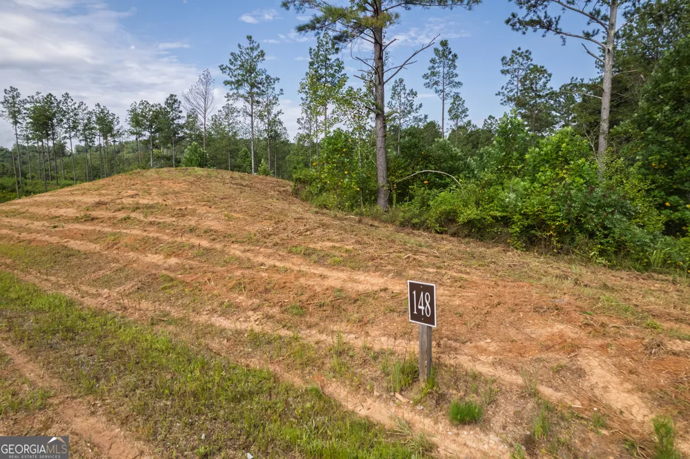 LOT 148 Eddy Waters CIR Talking Rock, GA 30175