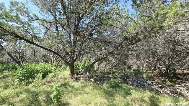 3230 LAMMERS ST Kerrville, TX 78028