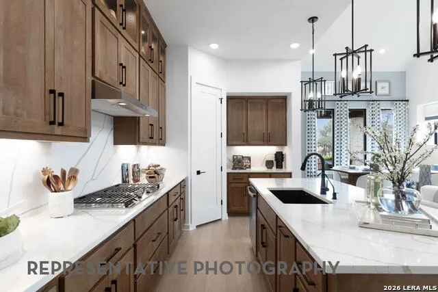 113 Gazelle Point Cibolo, TX 78108