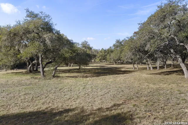 6093 Fm 311 Spring Branch, TX 78070