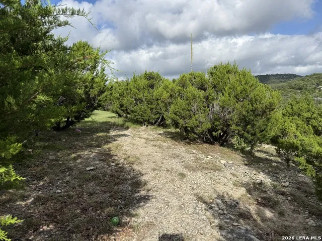 18806 Canyon View Pass Helotes, TX 78023