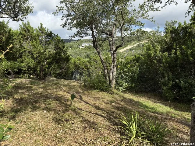 18806 Canyon View Pass Helotes, TX 78023