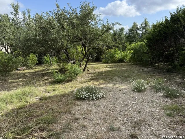 18806 Canyon View Pass Helotes, TX 78023