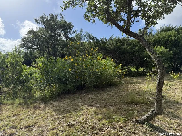 18806 Canyon View Pass Helotes, TX 78023