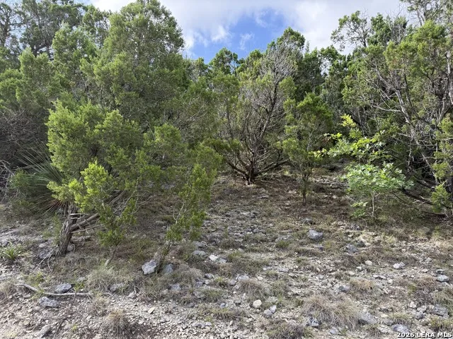 18806 Canyon View Pass Helotes, TX 78023
