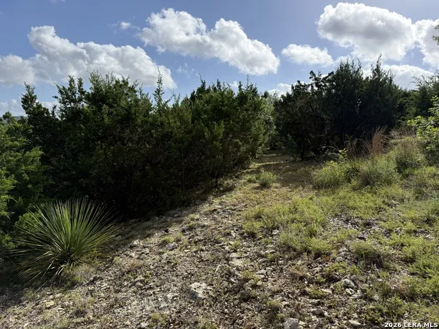 18806 Canyon View Pass Helotes, TX 78023