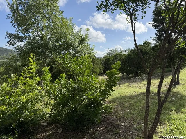 18806 Canyon View Pass Helotes, TX 78023