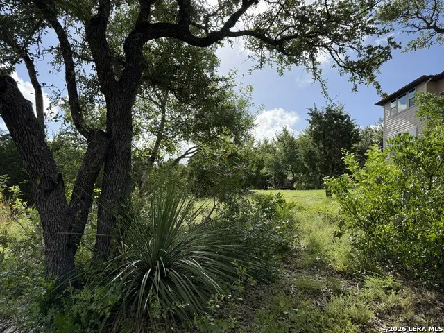 18806 Canyon View Pass Helotes, TX 78023