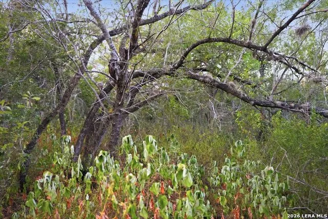 8251 COUNTY ROAD 106 Beeville, TX 78102
