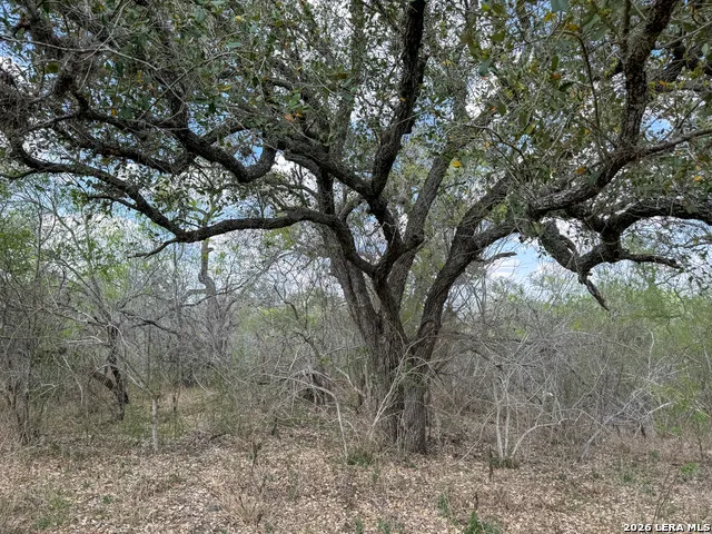 8251 COUNTY ROAD 106 Beeville, TX 78102