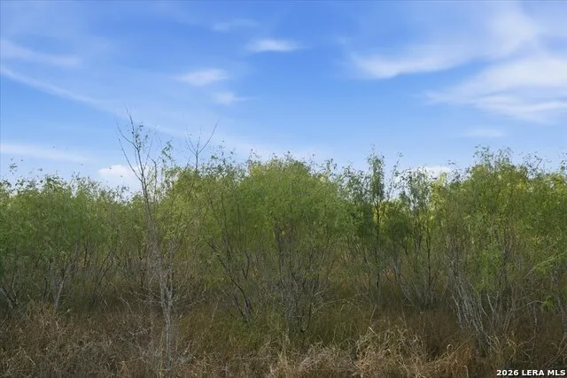 8251 COUNTY ROAD 106 Beeville, TX 78102