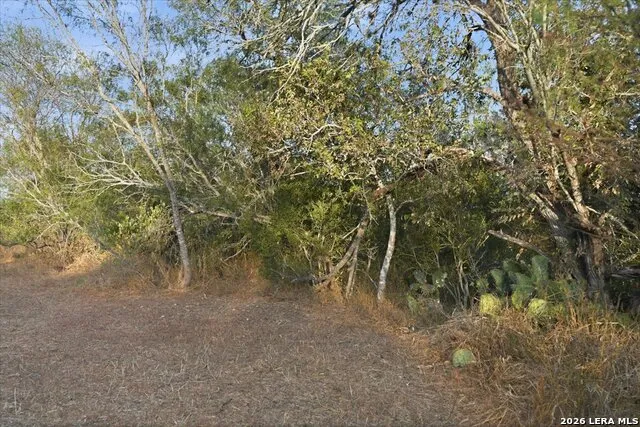 8251 COUNTY ROAD 106 Beeville, TX 78102