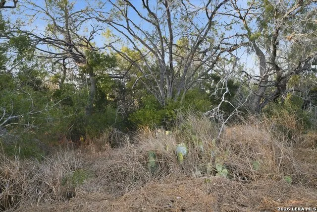 8251 COUNTY ROAD 106 Beeville, TX 78102