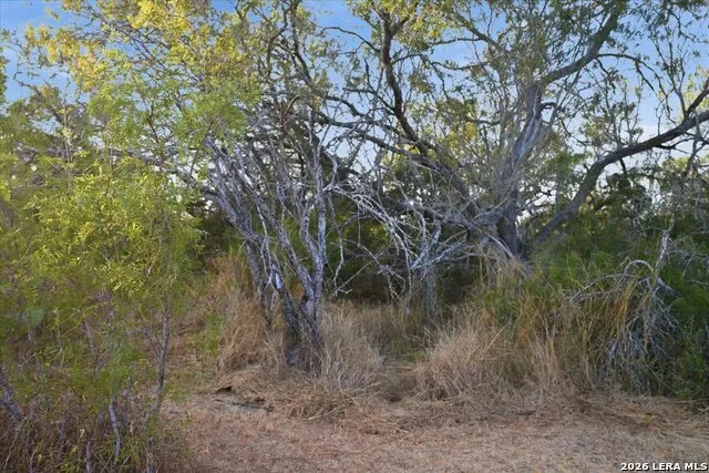 8251 COUNTY ROAD 106 Beeville, TX 78102