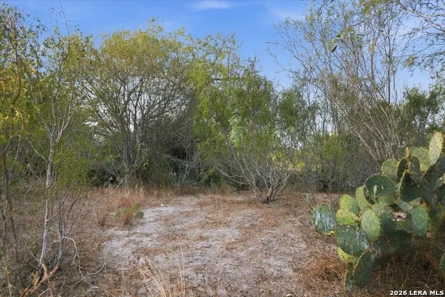 8251 COUNTY ROAD 106 Beeville, TX 78102