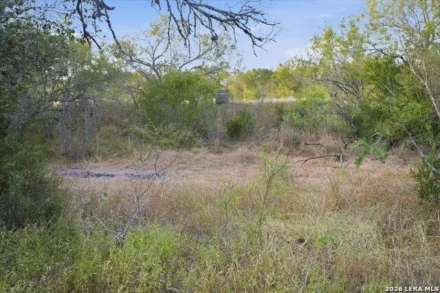 8251 COUNTY ROAD 106 Beeville, TX 78102
