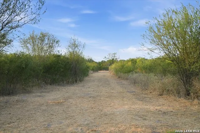 8251 COUNTY ROAD 106 Beeville, TX 78102