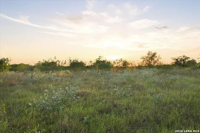 8251 COUNTY ROAD 106 Beeville, TX 78102