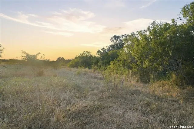 8251 COUNTY ROAD 106 Beeville, TX 78102