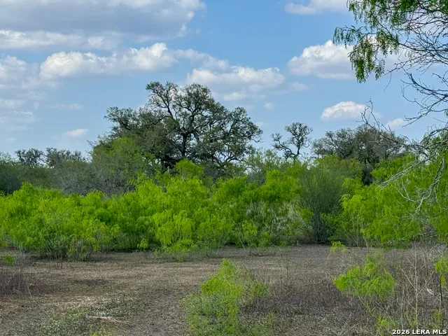 8251 COUNTY ROAD 106 Beeville, TX 78102