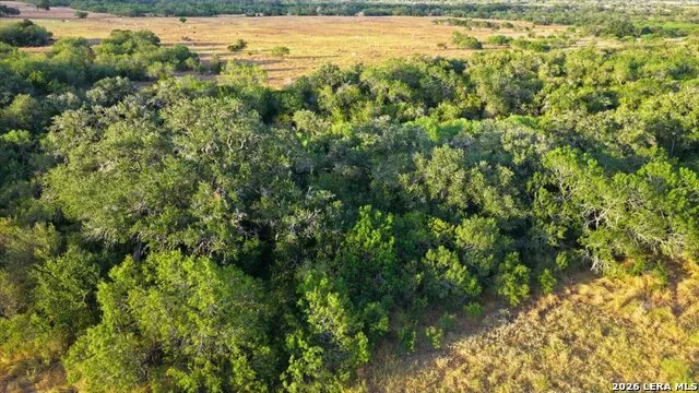 8251 COUNTY ROAD 106 Beeville, TX 78102