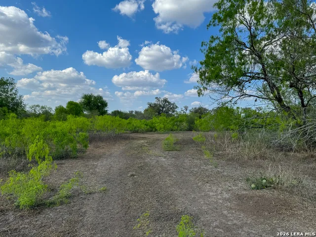 8251 COUNTY ROAD 106 Beeville, TX 78102