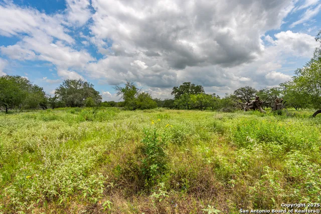 330 S Encino Crossing Natalia, TX 78059
