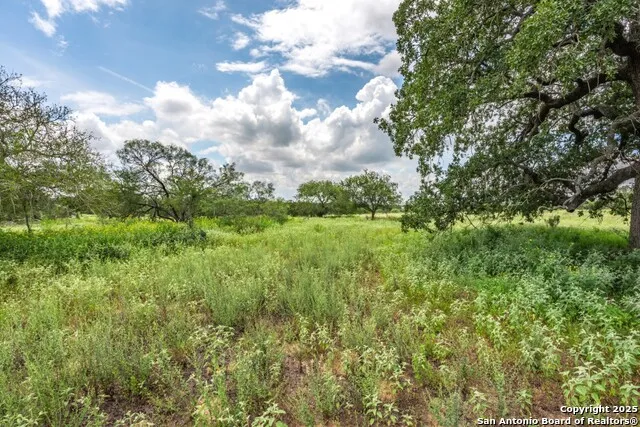 330 S Encino Crossing Natalia, TX 78059