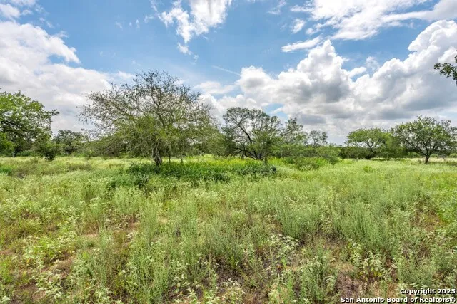 330 S Encino Crossing Natalia, TX 78059