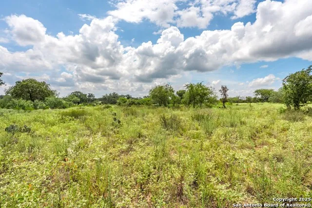 330 S Encino Crossing Natalia, TX 78059