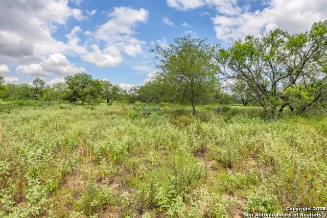 330 S Encino Crossing Natalia, TX 78059