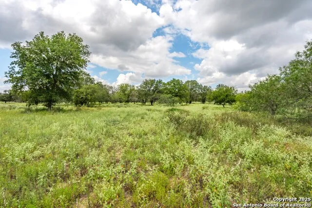 330 S Encino Crossing Natalia, TX 78059