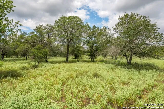 330 S Encino Crossing Natalia, TX 78059