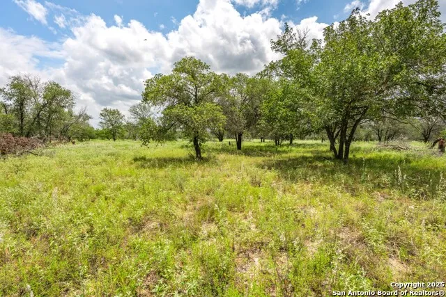 330 S Encino Crossing Natalia, TX 78059
