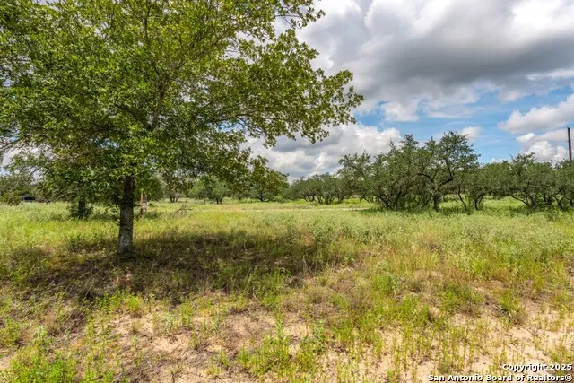 330 S Encino Crossing Natalia, TX 78059