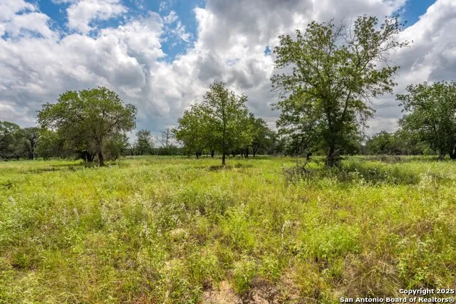 330 S Encino Crossing Natalia, TX 78059