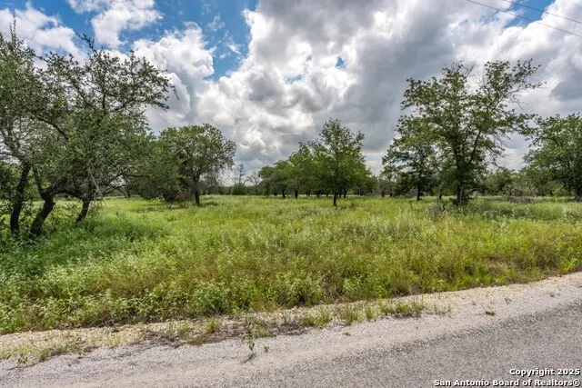 330 S Encino Crossing Natalia, TX 78059
