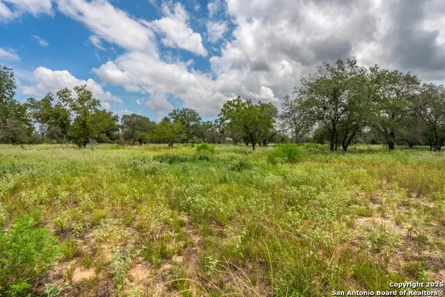 330 S Encino Crossing Natalia, TX 78059