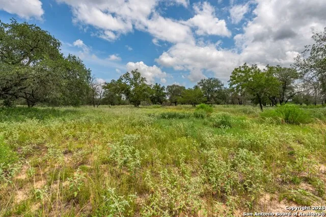 330 S Encino Crossing Natalia, TX 78059